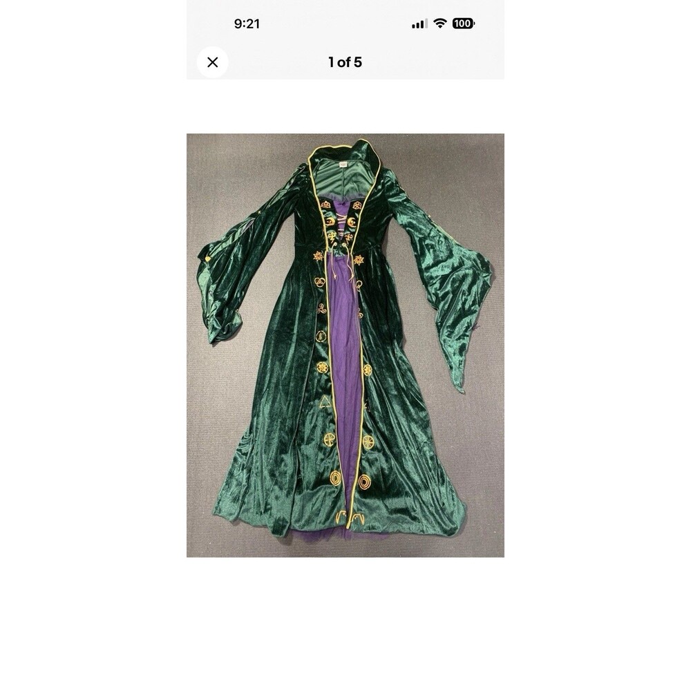 Disney Hocus Pocus Winifred Sanderson Sister Costume  Adult XL Wig Halloween